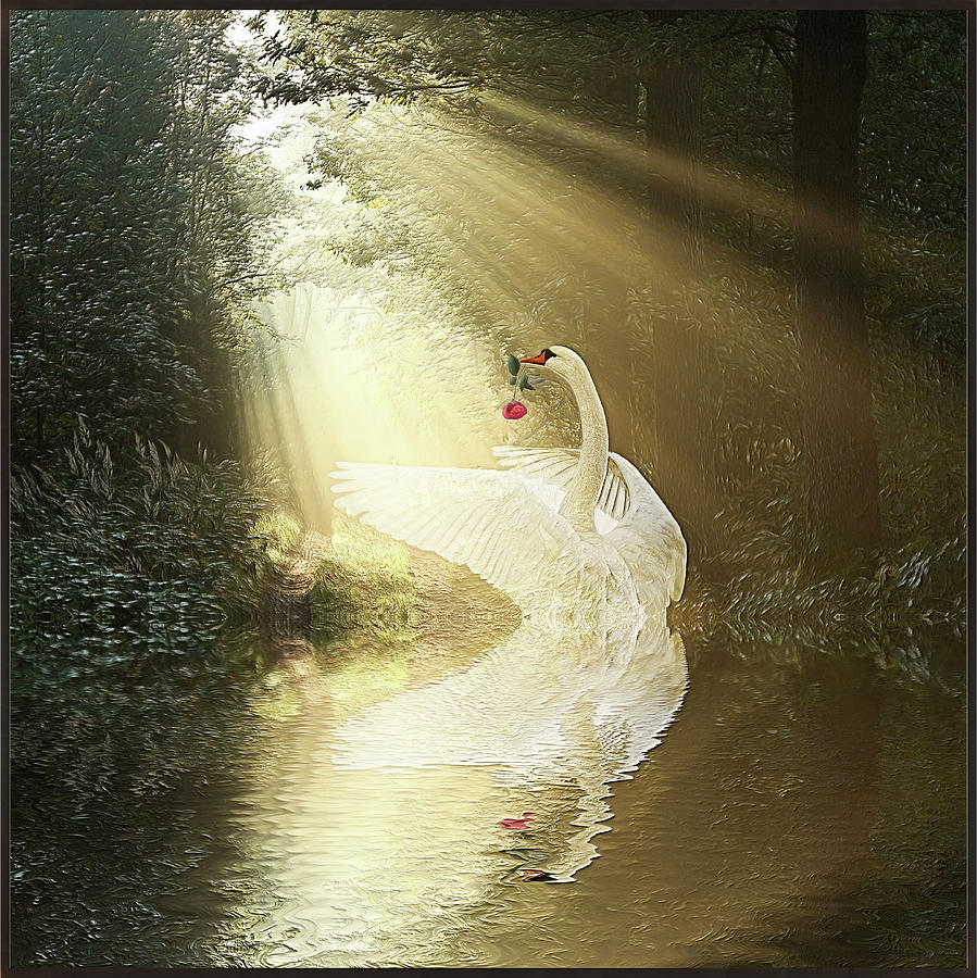 Swan #3 Digital Art by Harald Dastis