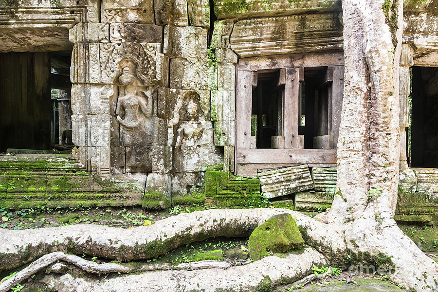 Ta Prohm temple in Angkor #3 Photograph by Didier Marti
