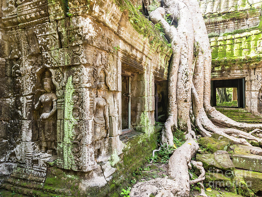 Ta Prohm temple in Angkor, Siem Reap in Cambodia #3 Photograph by Didier Marti