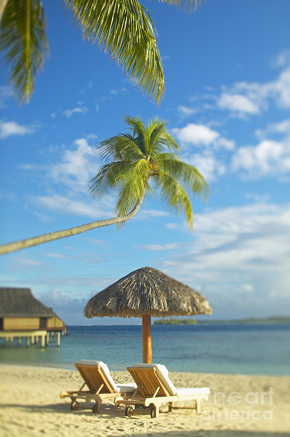 Paradise Photograph - Tahiti, Bora Bora #3 by Kyle Rothenborg - Printscapes