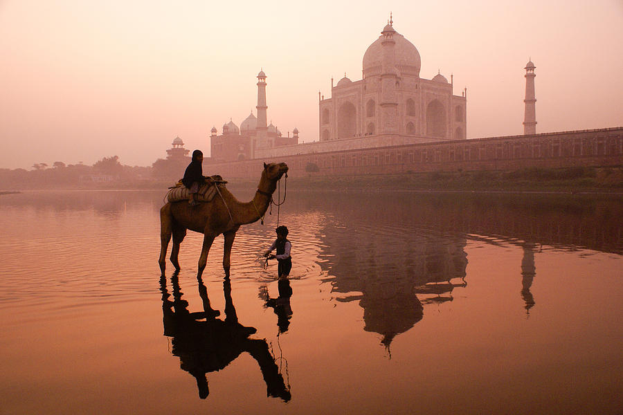 Camel Photograph - Taj Mahal at Dawn #3 by Michele Burgess