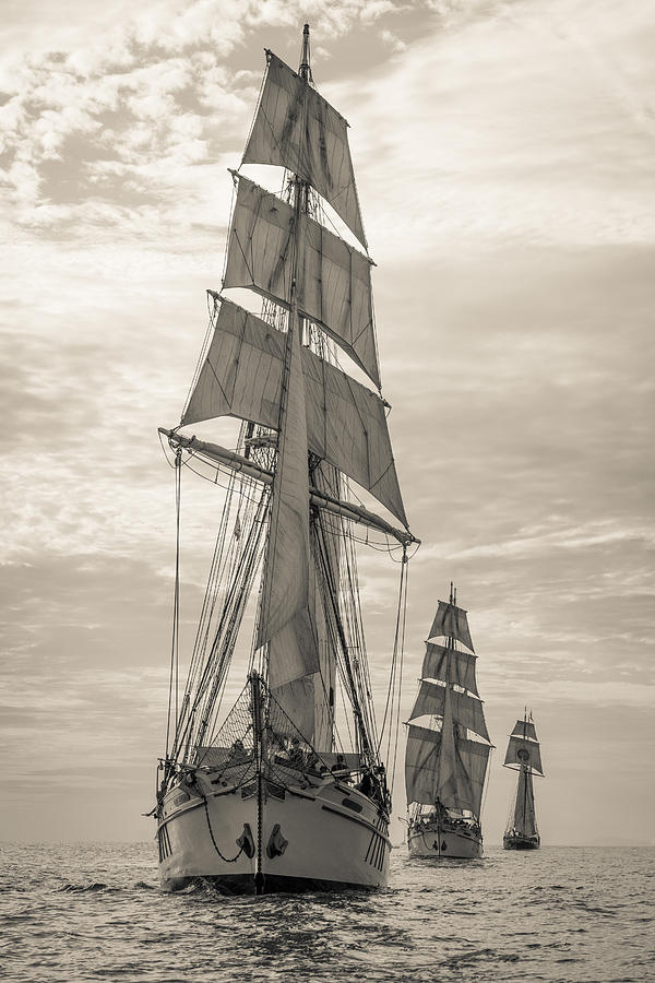 Tallships on parade Photograph by Cliff Wassmann