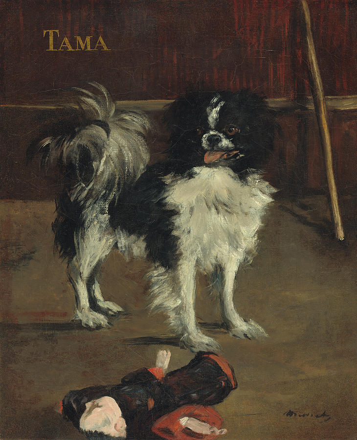 Tama The Japanese Dog #3 Painting by Edouard Manet