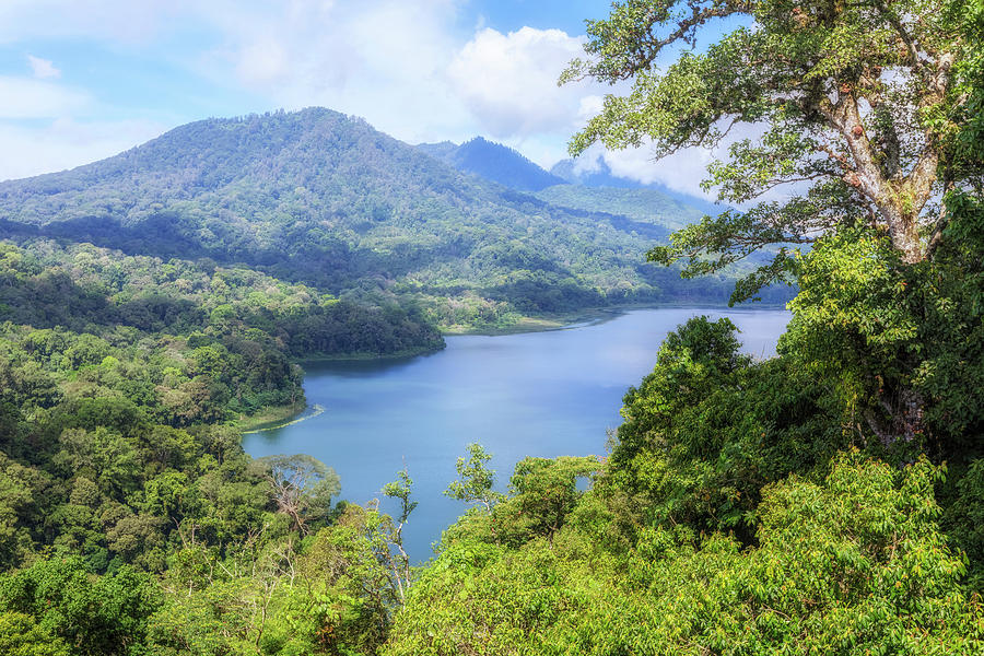 Tamblingan Lake - Bali Photograph by Joana Kruse - Fine Art America