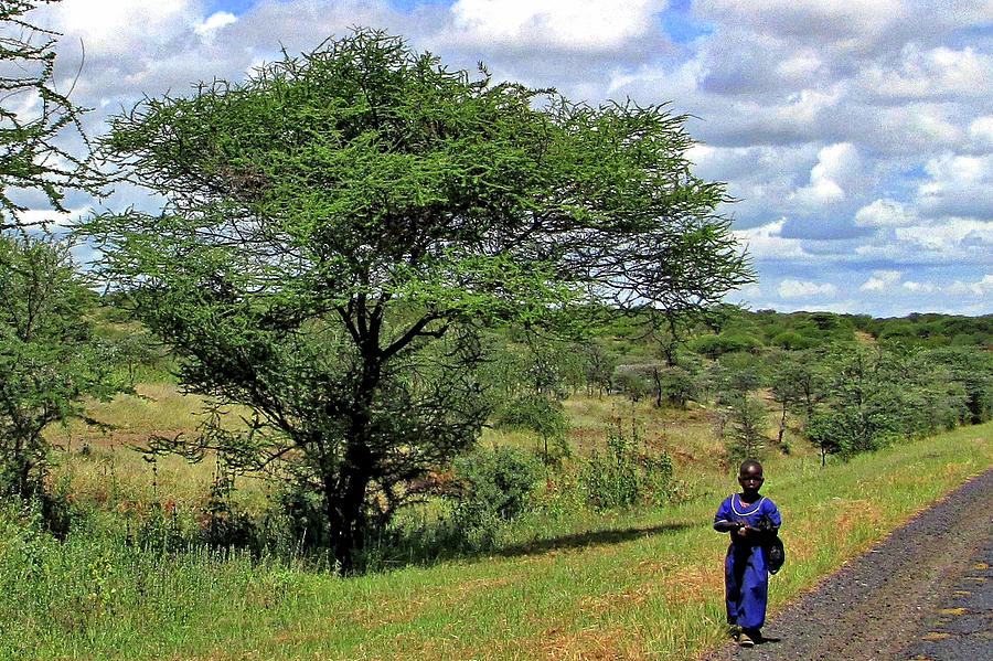Tanzania #3 Photograph by Paul James Bannerman