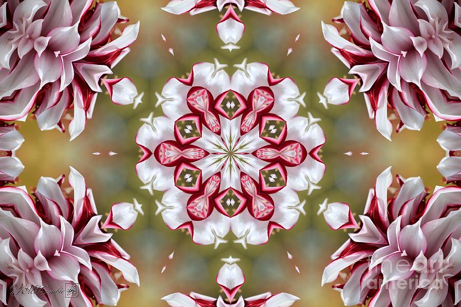 Tartan Mandala #2 Digital Art by J McCombie