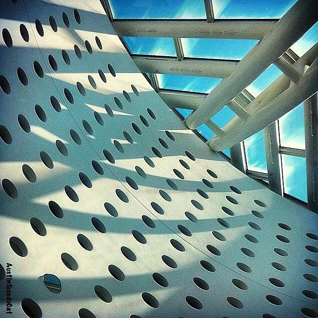Architecture Photograph - #tbt #museum Of #modern #art San #3 by Austin Tuxedo Cat