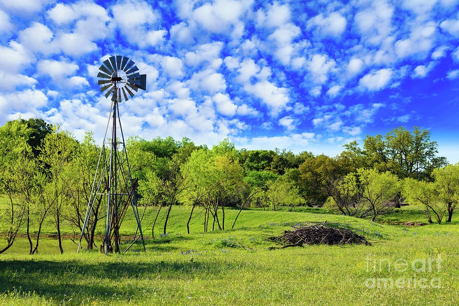 Texas Hill Country Photograph by Raul Rodriguez