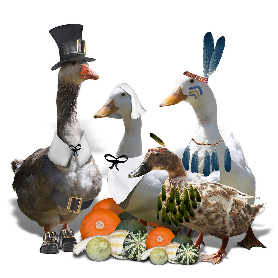 Thanksgiving Ducks #5 Mixed Media by Gravityx9 Designs