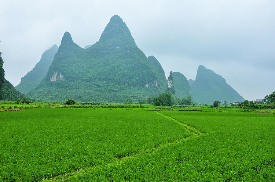 The beautiful karst rural scenery #3 Photograph by Carl Ning