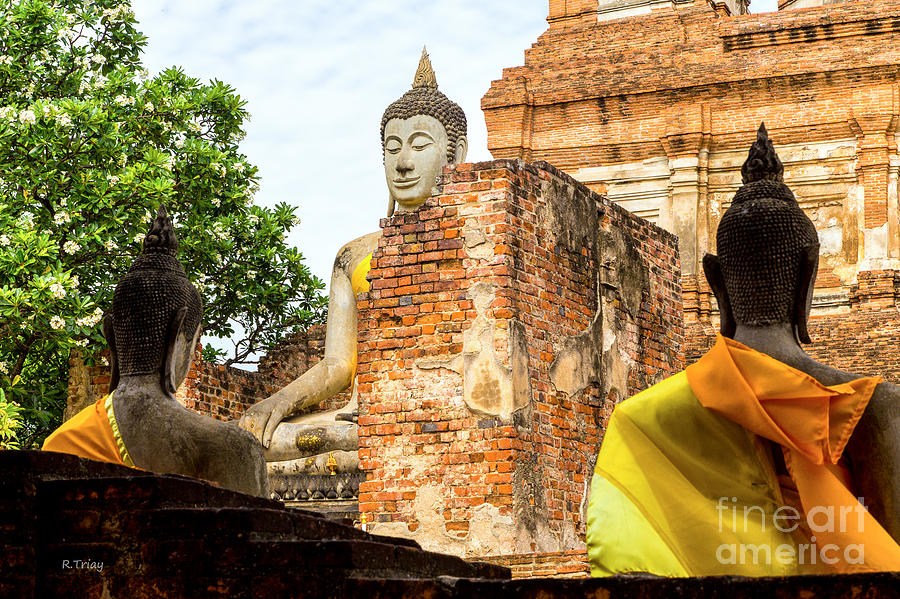 The Buddha statues of Watyaichaimongkhol #4 Photograph by Rene Triay FineArt Photos