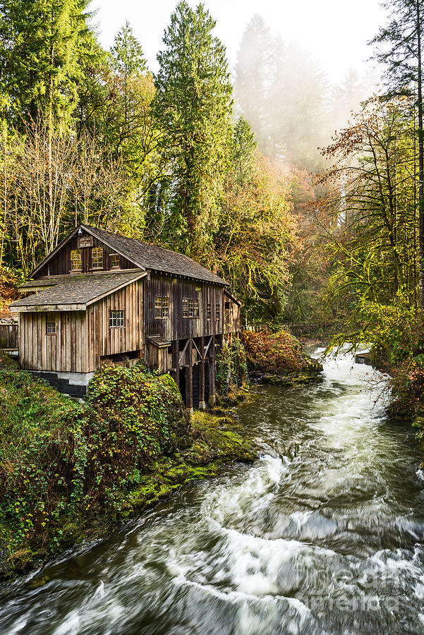 Vintage Photograph - The Cedar Creek Grist Mill in Washington State. #3 by Jamie Pham