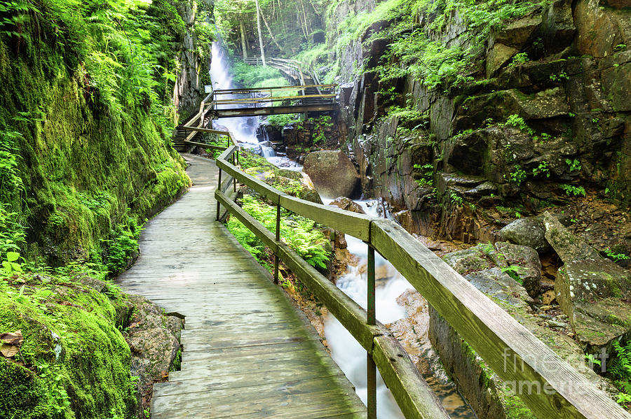 The Flume Gorge, Lincoln, New Hampshire #3 Photograph by Dawna Moore Photography