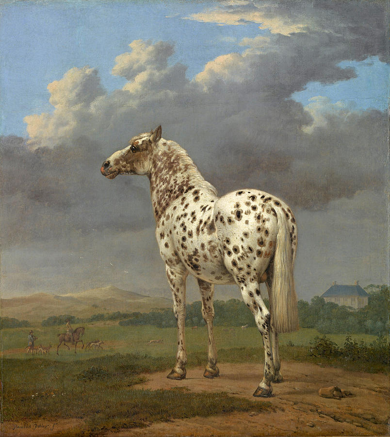 The Piebald Horse #7 Painting by Paulus Potter
