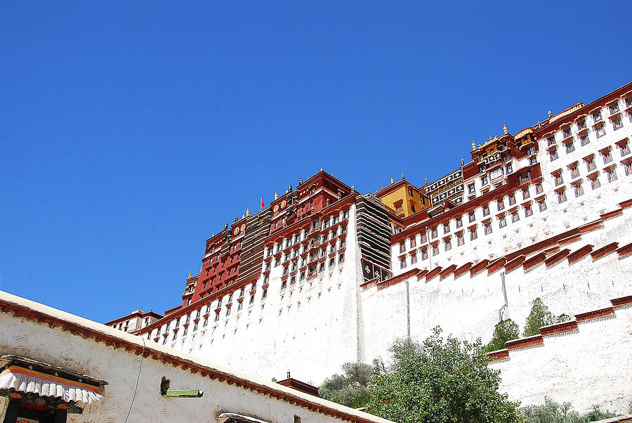 The Potala Palace #3 Photograph by Carl Ning