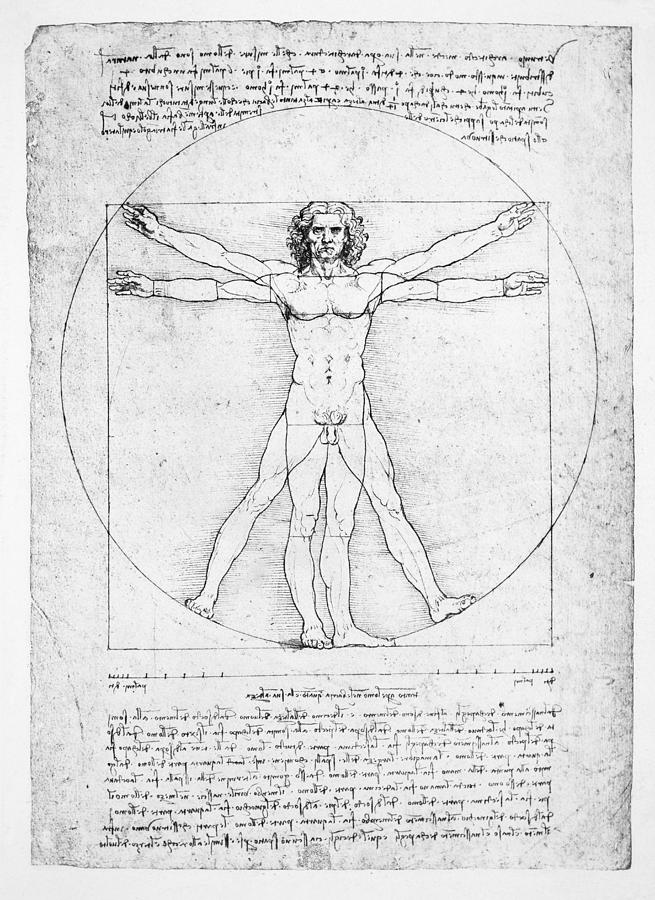 Leonardo Da Vinci Drawing - The Proportions of the human figure by Leonardo Da Vinci