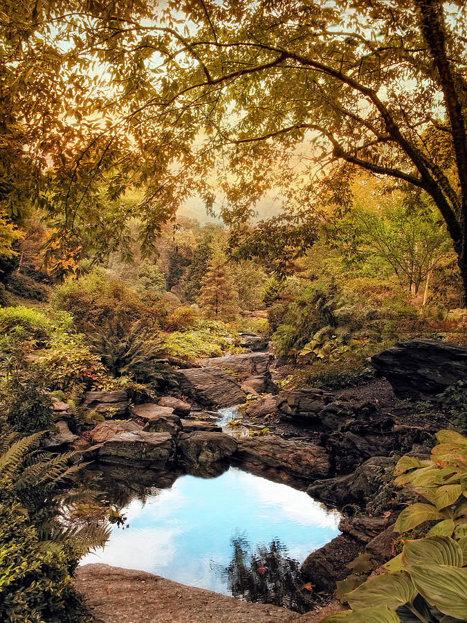 Nature Photograph - The Rock Garden by Jessica Jenney