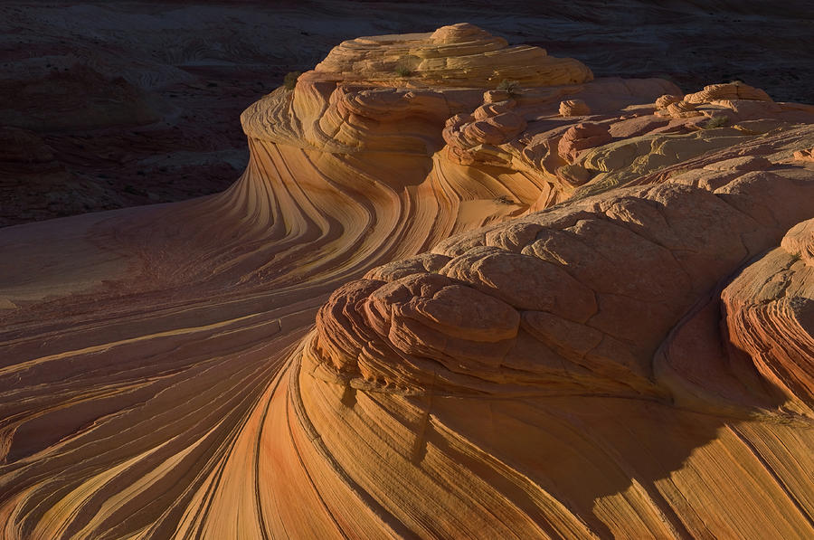 The Wave Coyote Buttes Photograph by Dean Pennala | Pixels