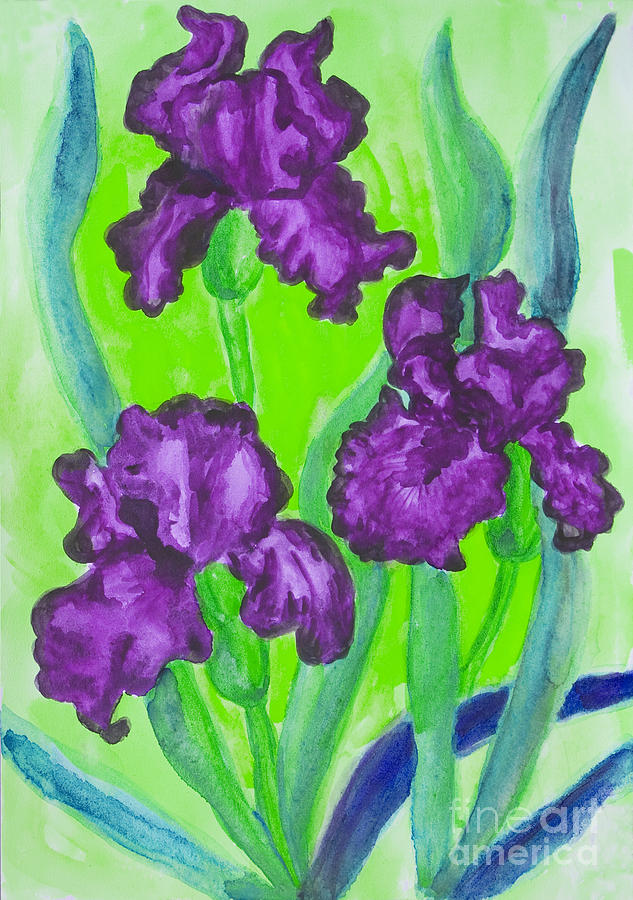Three violet irises, watercolor #3 Painting by Irina Afonskaya