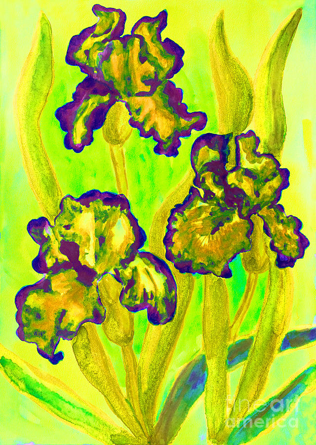 Three yellow irises, watercolor #3 Painting by Irina Afonskaya