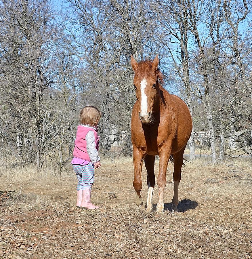 Toddler and Horse #3 Photograph by Maria Jansson