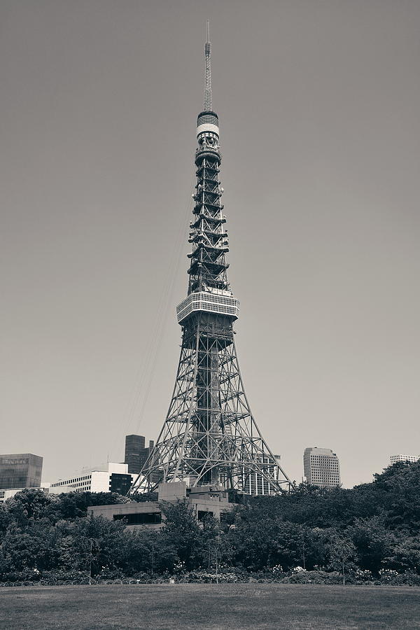 Tokyo Tower #3 Photograph by Songquan Deng