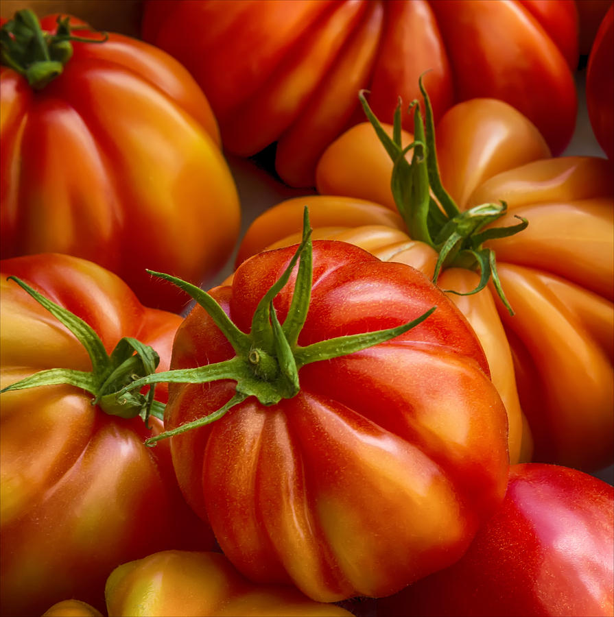 Tomatoes #3 Photograph by Robert Ullmann
