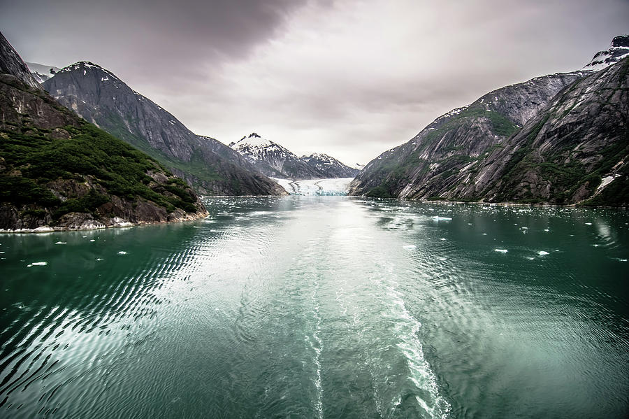 Tracy Arm Fjord Scenery In June In Alaska #3 Photograph by Alex Grichenko