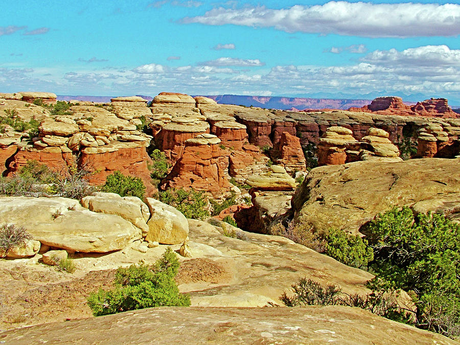 Trail to Chesler Park Viewpoint in  Needles District in  Canyonlands National Park, Utah #3 Photograph by Ruth Hager