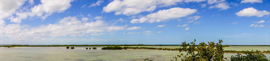 Tranquil Nature In Florida Keys #3 Photograph by Alex Grichenko