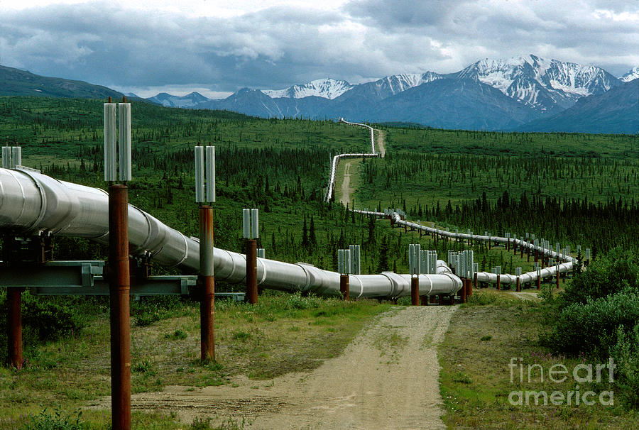 Trans-Alaska Pipeline #3 Photograph by Wernher Krutein