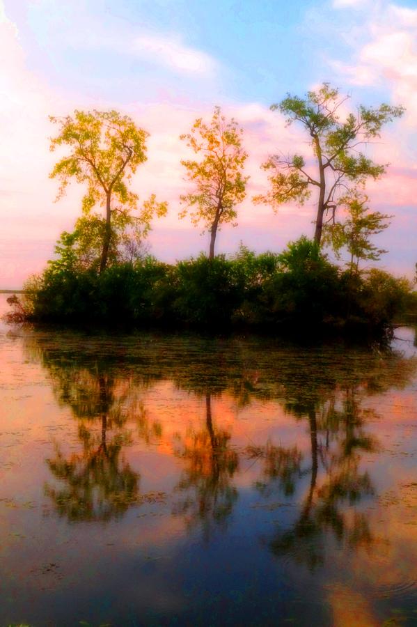 3 Tree Island Sunrise Photograph by Daniel Thompson