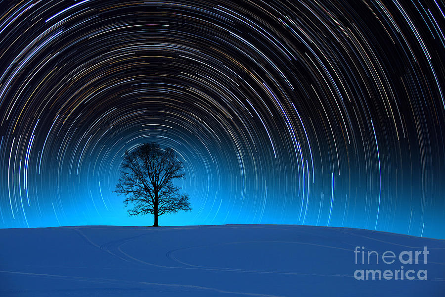 Tree With Star Trails #3 Photograph by Larry Landolfi