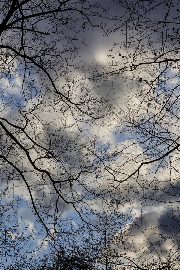 Treees and Clouds Early Spring Photograph by Robert Ullmann - Fine Art ...