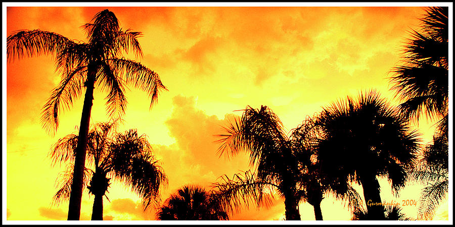 Tropical Sunset with Palm Tree Silhouettes #3 Photograph by A Macarthur Gurmankin