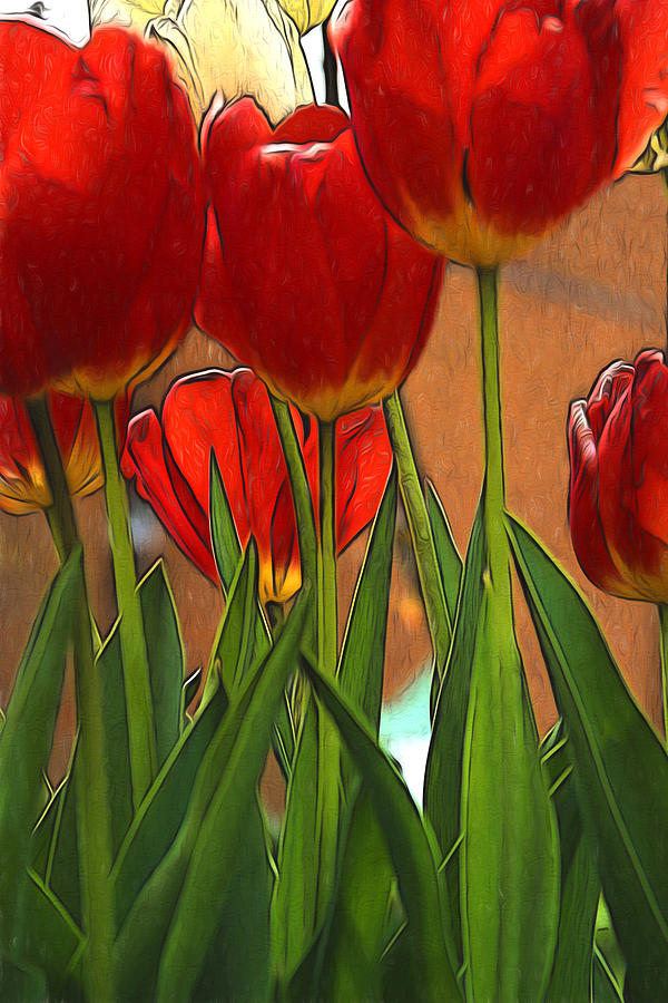 Tulips #3 Photograph by John Freidenberg