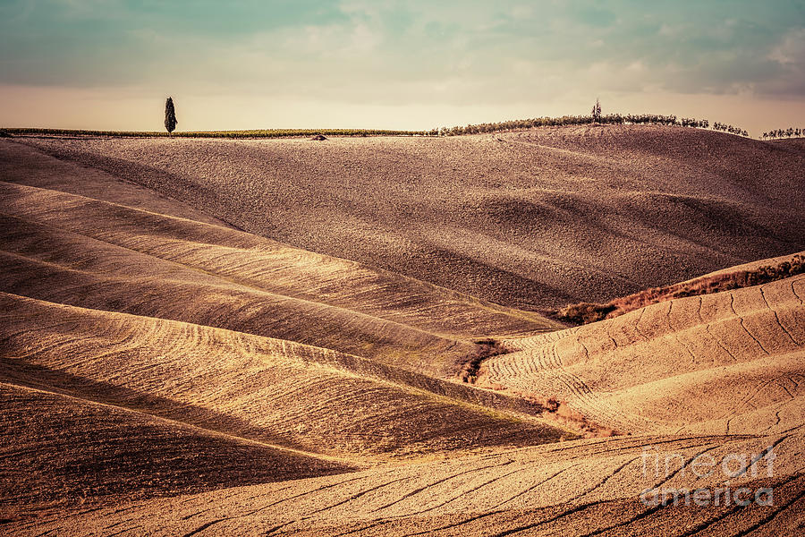 Tuscany fields autumn landscape, panorama, Italy. Harvest season #3 Photograph by Michal Bednarek