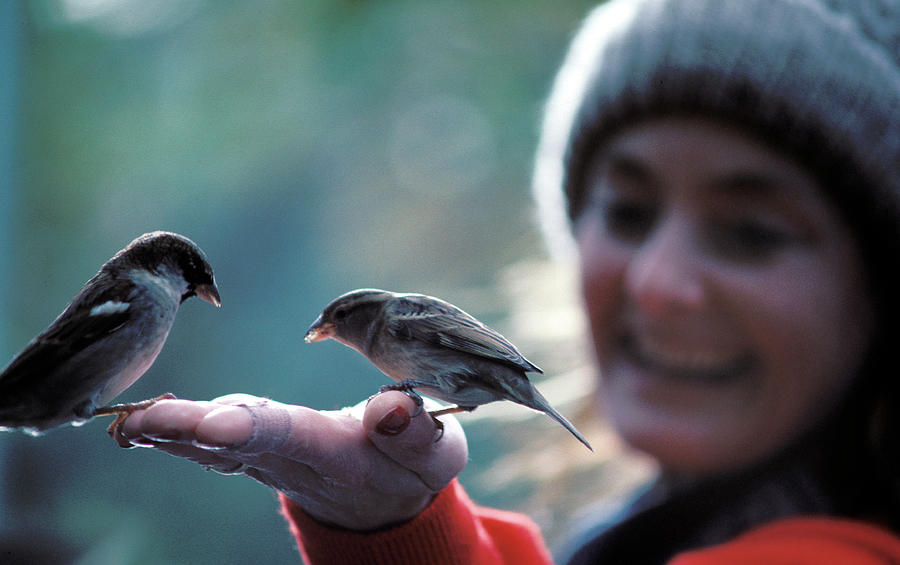 Two birds in the hand Photograph by Carl Purcell - Fine Art America