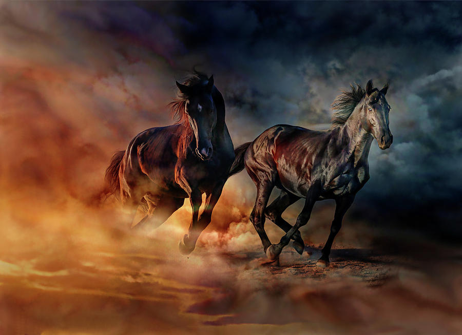 Two horses Painting by Lilia D