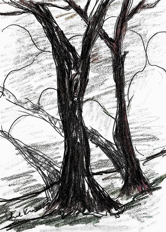 Two Tree #3 Drawing by Hae Kim