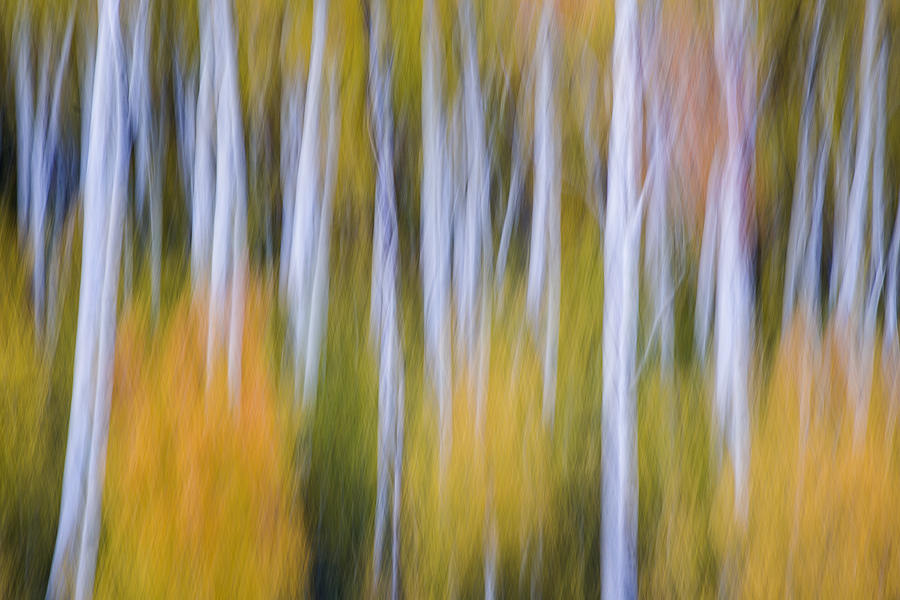 Utah Autumn Photograph