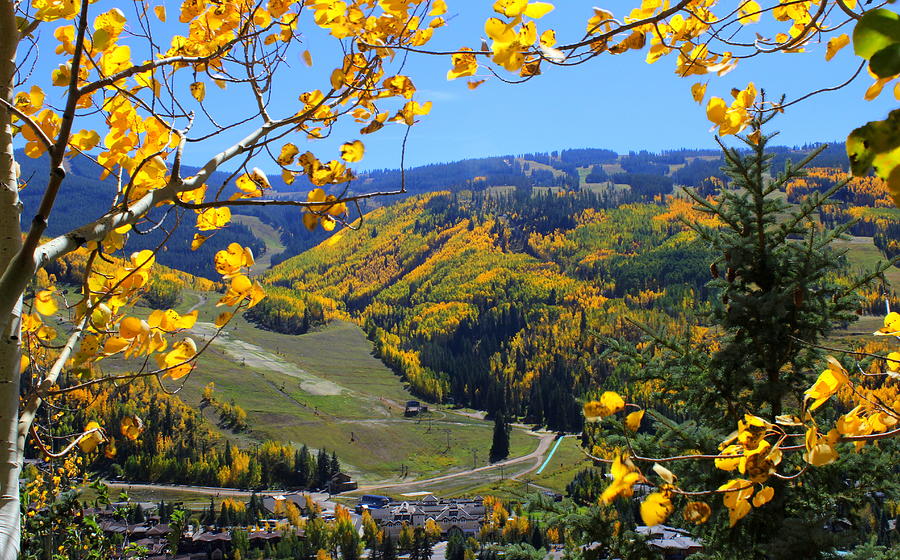 Mountain View Of Vail Colorado Photograph by Fiona Kennard