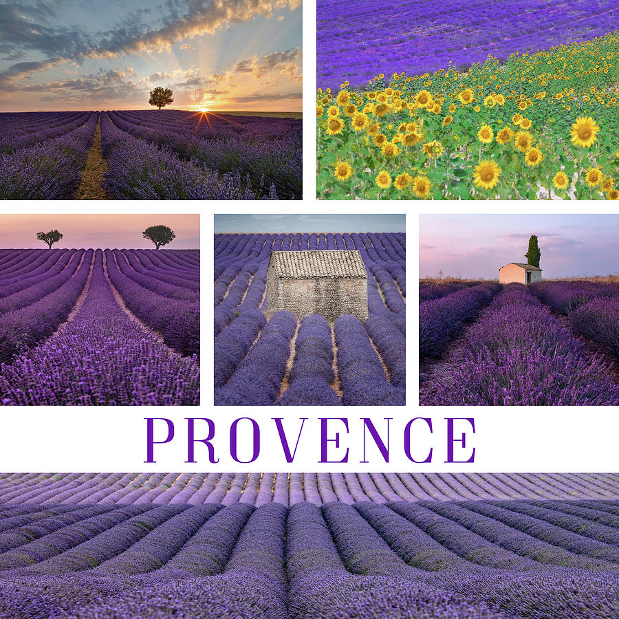Summer Photograph - Valensole - Provence, France #3 by Joana Kruse