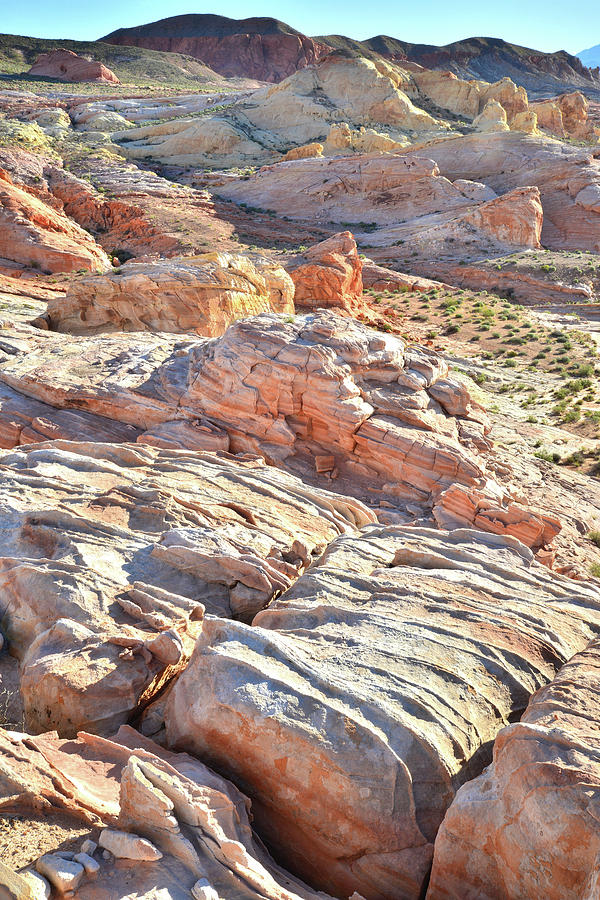 Valley of Fire State Park #1 Photograph by Ray Mathis
