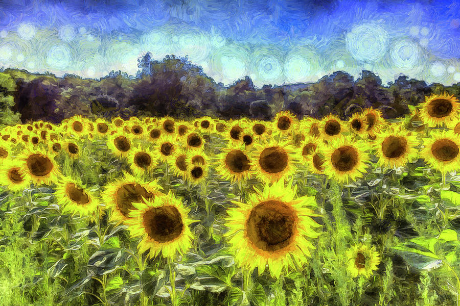 Van Gogh Sunflowers #3 Photograph by David Pyatt