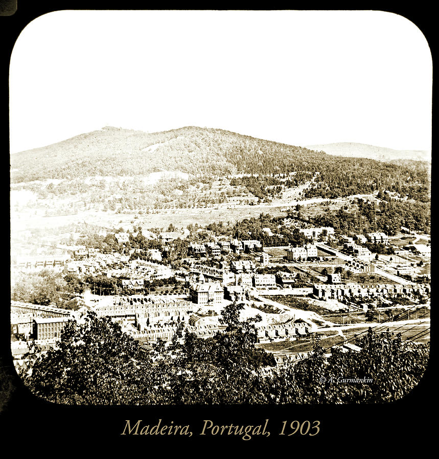 1903 Photograph - View of Madeira, Portugal, 1903 #3 by A Macarthur Gurmankin