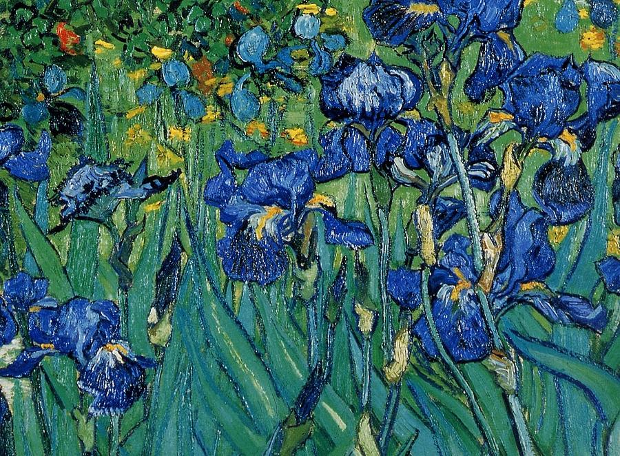 Vincent Van Gogh Iris detail Painting by MotionAge Designs