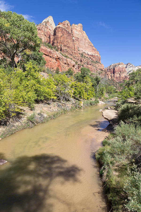 Virgin River In Zion Photograph by Greg McGill - Fine Art America