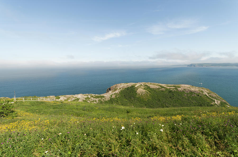 Vistas from along the walking trails of Signal Hill 2 Photograph by Bob