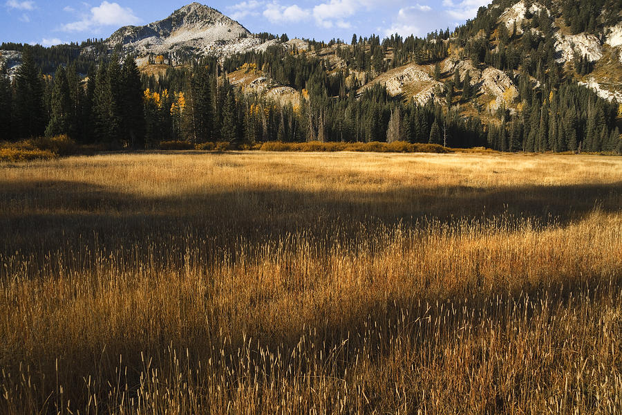 Wasatch Mountains in Autumn #3 Photograph by Douglas Pulsipher